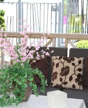 Le Grand Turc image 2