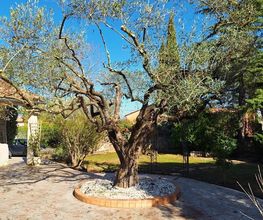 Bastidon Jardin image 15