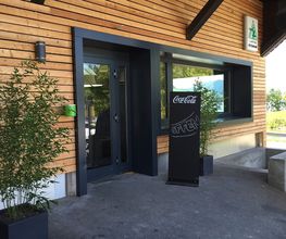 Grüene Aff Bild 3