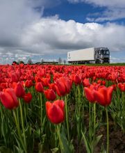 Trucks Vans Solutions SA Bild 10