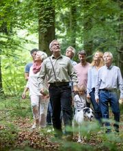 Waldführung im FriedWald