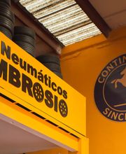 Neumáticos Ambrosio imagen 3