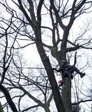 WhatsApp Bild 2023-12-16 um 22.56.17_b533e09d.jpg