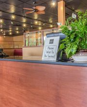 Keke's Breakfast Cafe image 11