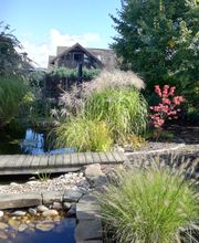 Teichbau, Grasland Gartengestaltung