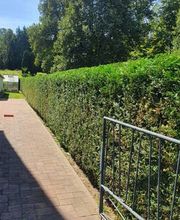 King of Greens Bild 2