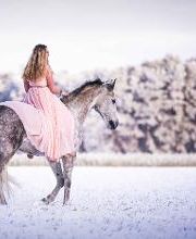 Beshepherd Tierfotografie - Sophie Lombeck Bild 18