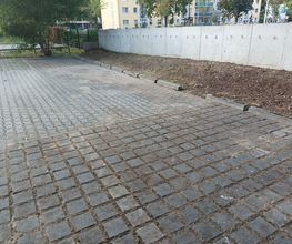 IMG_20251002_160452.jpg
