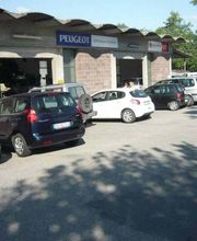 Gallery Cliente