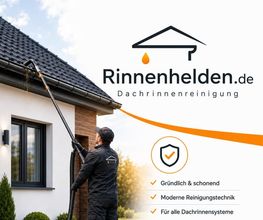 Rinnenhelden Bild 1