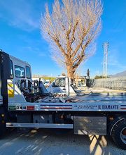 Autocarrozzeria Il Diamante immagine 4
