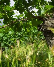 Mathier Franz-Josef AG Bild 10