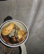 Pfeifer Kaminfeger GmbH Bild 5