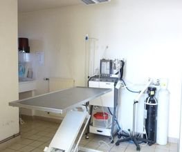 Cabinet Veterinaire de Chat-Ours image 5