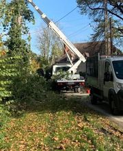 Brac José Elagage Abattage 18 image 12