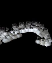 Monnier Laurent Bild 7