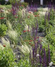 Pohl GÄRTEN GmbH Bild 10