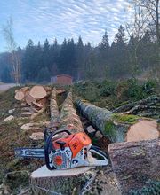 Jardins Arborés image 18