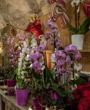 Art Et Nature image 3