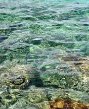 Fabre-sauvannet Elisabeth image 2