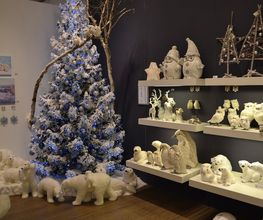 Gallery Cliente