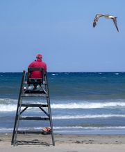 Restaurante Costa Blanca 2011 imagen 6