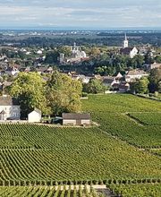 Domaine Des Chauchoux image 7