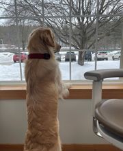 Christopher Fauver DDS Comprehensive Dentistry and Oral Wellness image 16