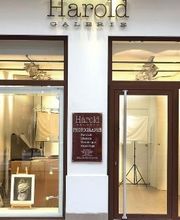 Harold Galerie-Photographe-Lyon image 1
