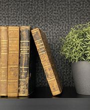 Villesèche Sauron Elodie image 2