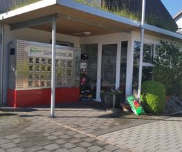 hollenstein blumengarten ag-Blumenshop-Gärtnerei-Gartenbau-Unterhalt-Grabpflege Bild 3