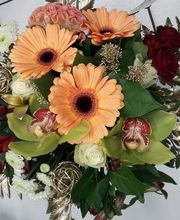 Duthil Sandrine image 7