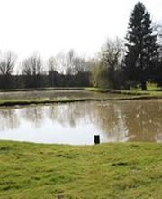 Pisciculture de voulpaix image 3