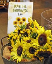 Queen Creek Olive Mill image 14