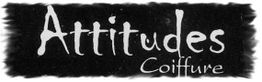 Attitudes Coiffure