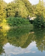 Camping & Ferienpark Waldfrieden Bild 6