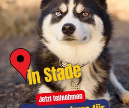 MetaWania Marketing Studios Bild 9