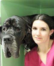 Cabinet Vétérinaire des Sources SA Bild 3