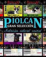 Piolcan Adiestramiento Canino y centro de formación imagen 1