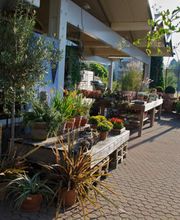 Blumen Schenk Bild 4