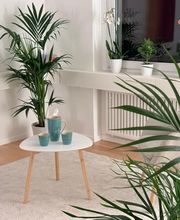 Craniosacral Therapie und ADHS-Coaching - Anke Walker Bild 1