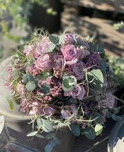 Blumen La Violetta Bild 8