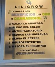 Liligrow imagen 13