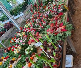 Ingo Salzmann Blumen und Mehr Bild 14