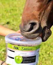 Animalia Seudre Nutrition image 5