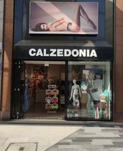 Calzedonia Bild 1