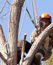 Oppin Florent image 1