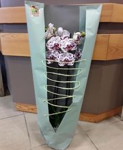 La Tulipe Noire image 18