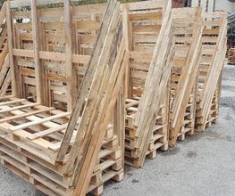 BFMP image 11