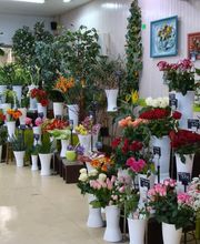 Central fleurs image 5